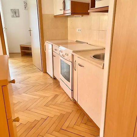 Topel Dom V Srediscu Mesta 2 * Maribor