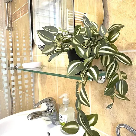 Apartman Topel Dom V Srediscu Mesta 2