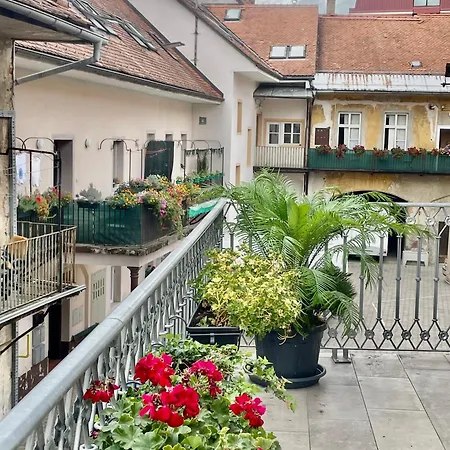 Apartament Topel Dom V Srediscu Mesta 2 *