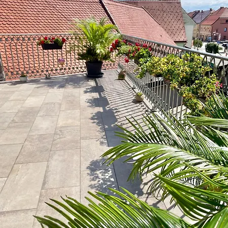 Topel Dom V Srediscu Mesta 2 Apartament *